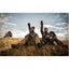 Vortex Viper 20-60x85 Straight Spotting Scope