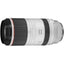 Canon RF100-500 f/4.5 - 7.1L IS USM RF Mount Lens - Jacobs Digital