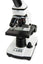 Celestron Labs CM800 Compound Microscope - Jacobs Digital