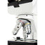 Celestron Labs CB2000CF Compound Microscope