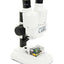 Celestron Labs S20 Stereo Microscope
