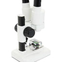 Celestron Labs S20 Stereo Microscope