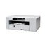 Sawgrass SG800 A3 Dye Sublimation Printer - Jacobs Digital