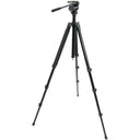 Celestron Trailseeker Tripod