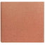 Profileplush Nutmeg 200 Photos 4x6 Album Slipin Album