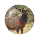 Athlon Cronus 10x50 Laser RangeFinder - Jacobs Digital