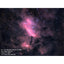 Celestron 11