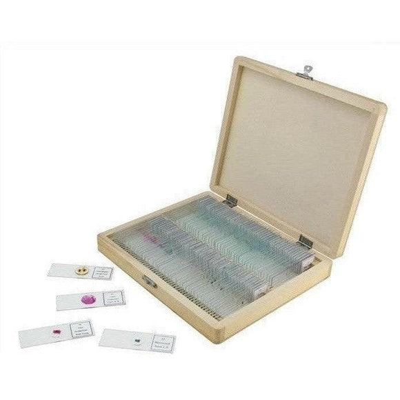 Celestron Prepared Microscope Slides - 100-piece box - Jacobs Digital