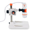 Celestron Labs Digital 5MP 20x -200x Handheld Microscope