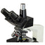 Omax 40x-2500x Trinocular Compound Microscope w/ LED Illumination + 20MP USB 3.0 Camera - Jacobs Digital