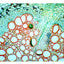 OMAX 40x-2500x w/ Built-In 3.0mp Digital Compound Microscope