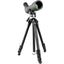 Vortex Mountain Pass Tripod - Jacobs Digital