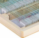 Celestron Prepared Microscope Slides - 100-piece box - Jacobs Digital