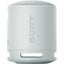 Sony SRSXB100H Wireless Speaker Grey-Jacobs Digital