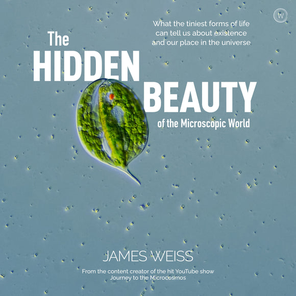 The Hidden Beauty of the Microscopic World - Jacobs Digital