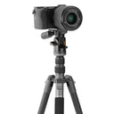 Vanguard VEO 3 GO 235CP with PH-20 Pan Head Carbon Fiber Tripod