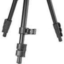 Vanguard VESTA GO 204AP Aluminium Pan Head Tripod - Jacobs Digital