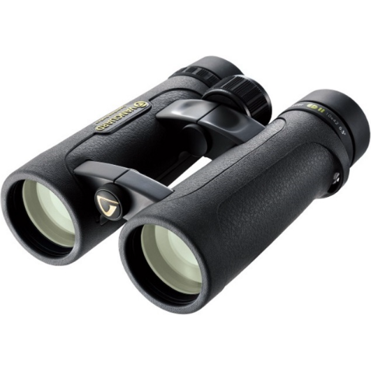 Vanguard Endeavor ED II 10x42 Binoculars-Jacobs Digital