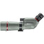 Bushnell Nitro 20-60x65 ED Angled Spotting Scope