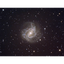 Orion 8