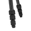 Manfrotto Befree Advanced AS Twist Carbon Tripod - Jacobs Digital