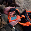 Dog Trace DOG GPS X30T Orange GPS Tracking & Training System