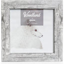 Kenro Harmony Square Frame 8"x8" - Woodland - Jacobs Digital