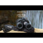 Fujinon Techno-Stabi TS 16x28 WP (IPX7) Image-Stabilized Binoculars - Jacobs Digital