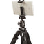 Joby Griptight for Smaller Tablet