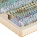 Celestron Prepared Microscope Slides - 100-piece box