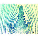 OMAX 18MP USB 3.0 C-Mount Microscope Camera for Windows, Mac OS, and Linux
