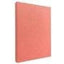 Profile Plush Pink Slip-in 200 Photos 4x6 Album Slipin Album - Jacobs Digital