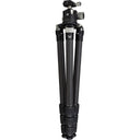 Vortex Radian Carbon with Ballhead Tripod Kit