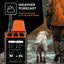 Dog Trace DOG GPS X40 Orange Handheld