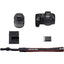 Canon EOS R8 Mirrorless Camera with RF 24-50mm f/4.5-6.3 IS STM Lens Lens Kit - Jacobs Digital