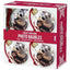 SHOT2GO Photo Baubles - 4PK (gold)