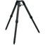 SkyWatcher Strain Wave 100i Strain Wave Mount with Tripod and Extension Tube