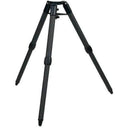 SkyWatcher StrainWave 100i Strain Wave Mount with Tripod, Extension Tube and Counterweight