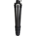 Vortex Radian Carbon Fibre Tripod Kit with Levelling Head - Jacobs Digital