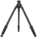 Vortex Radian Carbon with Ballhead Tripod Kit