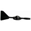 Wind Direction For WS1081