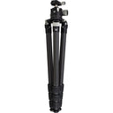 Vortex Radian Carbon with Ballhead Tripod Kit - Jacobs Digital