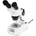 Celestron Labs Deluxe 10-60x Stereo Microscope - Jacobs Digital