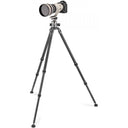 Gitzo Systematic Kit Series 3 Section With Ball Head - Jacobs Digital