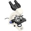 Orion MicroXplore CM-1 Compound Microscope-Jacobs Photo and Digital