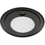 SkyWatcher Solar Filter NEWTONIAN - All Sizes - Jacobs Digital