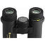 Vanguard Endeavor ED II 8x32 Binocular-Binoculars-Jacobs Photo and Digital