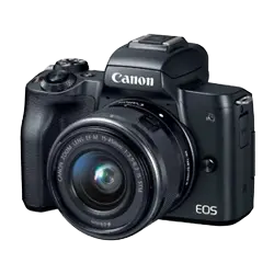 Mirrorless and DSLR Cameras