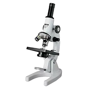 Compound Microscopes